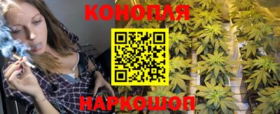 Альфа ПВП Гуково