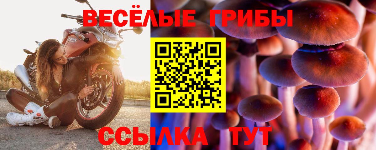 Псилоцибиновые грибы ЛСД  Вход с VPN  Жуковский  Псилоцибиновые грибы MAGIC MUSHROOMS 